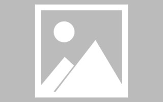 周口网站搭建和软件编程（网站搭建和软件编程哪个好）